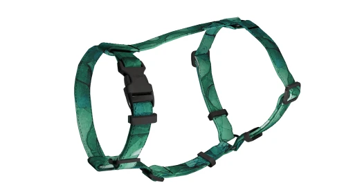 ZIELONE SZALEŃSTWO 3.webp