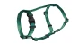 ZIELONE SZALEŃSTWO 3.webp