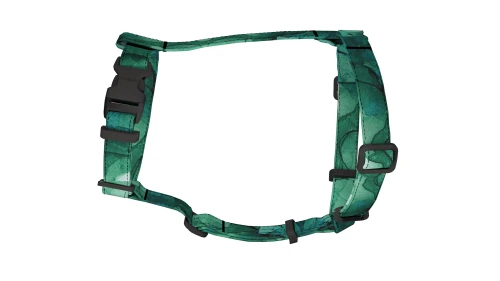 ZIELONE SZALEŃSTWO 2.webp